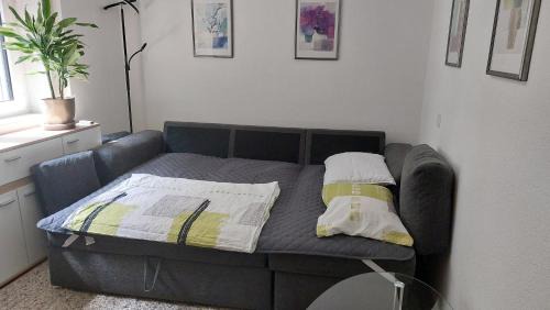 Minusio House | Casa celeste, stanza in appartamento condiviso