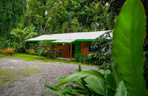 Chiguata House | Casa Cerise Beachfront