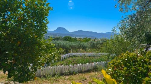 Prado del Rey House | Casa Cerrito Prado del Rey by Ruralidays