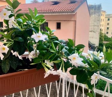 Salerno Apartment | Casa Citro