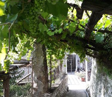 Maiori House | Casa Clotide