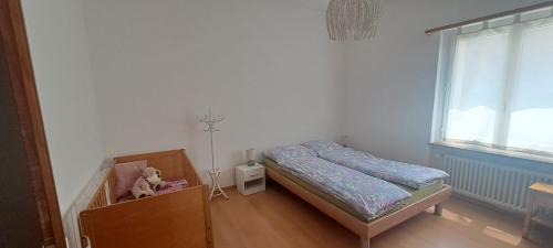 Pianezzo Apartment | Casa con giardino in centro