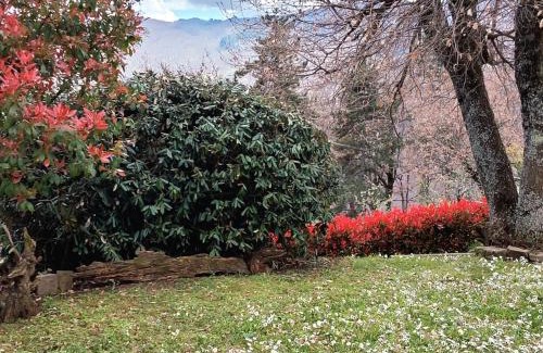 Quota Villa | Casa Conny