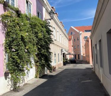 Belem Apartment | Casa Cor de Rosa