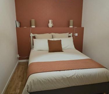 Salies-de-Bearn Apartment | Casa cosy Lanabat
