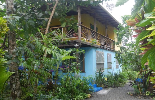 Puerto Viejo de Talamanca House | Casa Galim - Blue Morpho - House on the beach