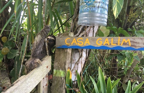 Puerto Viejo de Talamanca House | Casa Galim - Blue Morpho - House on the beach