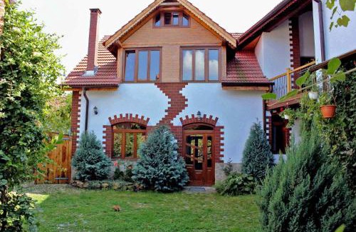 Saliste Villa | Casa Crina