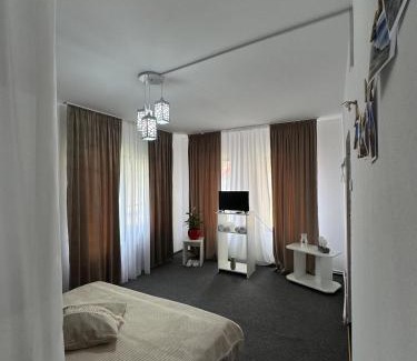 Busteni House | Casa cu Brazi
