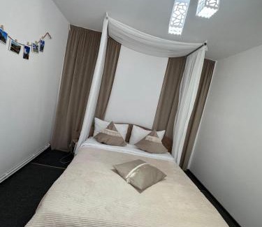 Busteni House | Casa cu Brazi