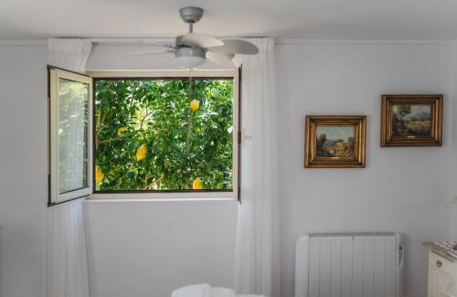 Barcelos House | Casa da Luisinha - Country House - Country House