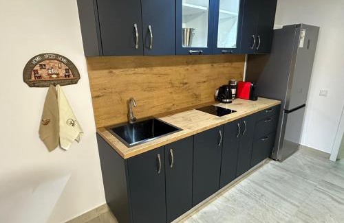 Iasi Apartment | Casa Dana