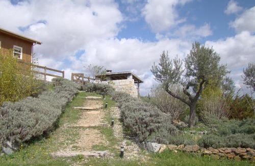 Bemposta House | Casa das Arribas - Rio Douro aos seus pés