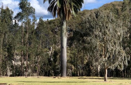 Chimborazo Province House | Casa de campo