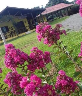 Bom Retiro House | Casa de campo Recanto das Borboletas