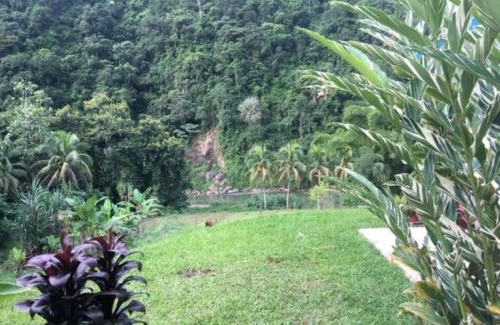 Arecibo Apartment | Casa de Campo Rio Arriba