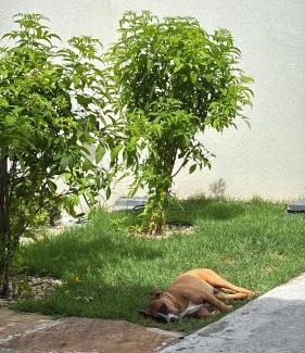 Horizonte Bed & Breakfast | Casa de Eliz