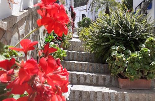 El Gastor House | Casa de las Flores - a picture perfect location!