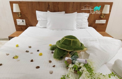 Shrivardhan Resort | Casa De Turtle