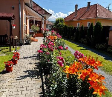 Sovata House | Casa de vacanță Orsi