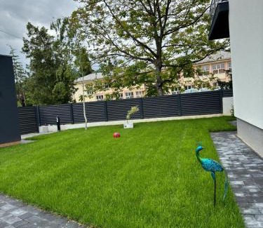 Baile Olanesti Villa | Casa de vacanta Cris 2