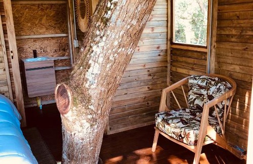 La Pena Villa | Casa del Árbol Colombia