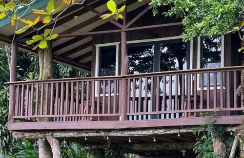 Quebrada La Gamba Ski Chalet | Casa del árbol