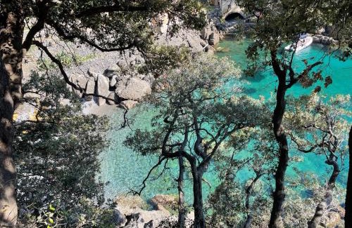 San Fruttuoso House | Casa dell'Arco 31