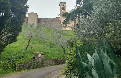 Pescia House | Casa di Barignano