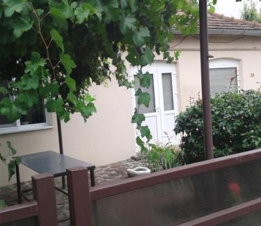 Bacau House | CASA DIDINA fosta Pensiune Casa Didina