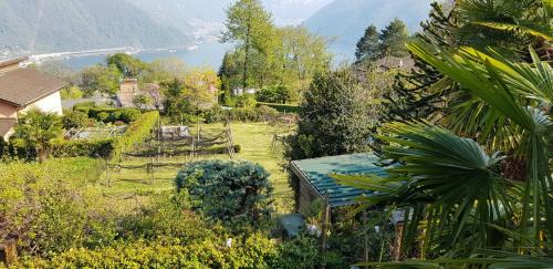 Carona House | Casa Dina