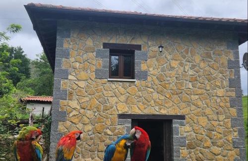 Santianes de Ola House | Casa Doña Lola