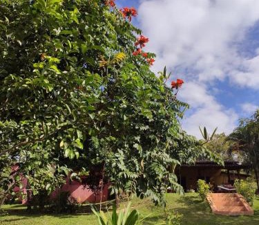 Aracas House | Casa do Lago