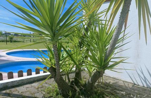 Evora Hotel | Casa Do Vale Hotel