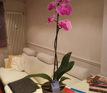 Old Town Apartment | casa dolce casa