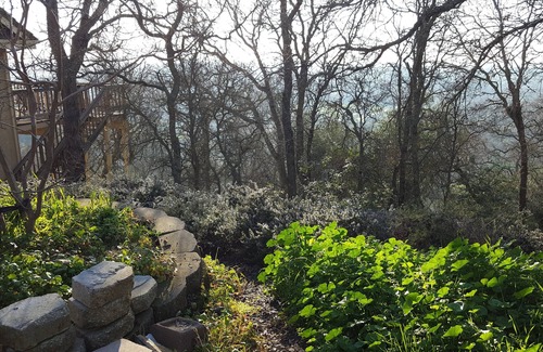 Loomis Cottage | Casa Dragonfly California ~ Casita with a View off Horseshoe Bar Rd