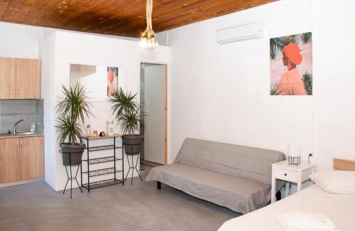 Plokamiana Apartment | Casa Elafonisi N2-10min from the beach
