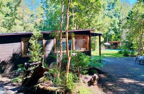 Pucon House | Casa en bosque a 10 minutos del centro de Pucón