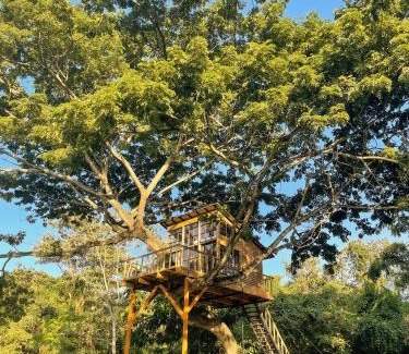 Utica Cabin | Casa en el Arbol