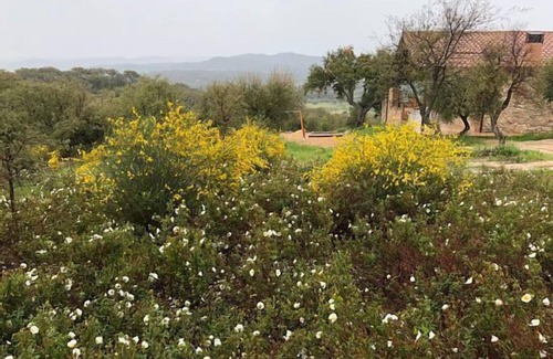 San Vicente de Alcantara Cottage | Casa Rural Villavieja for 8 people