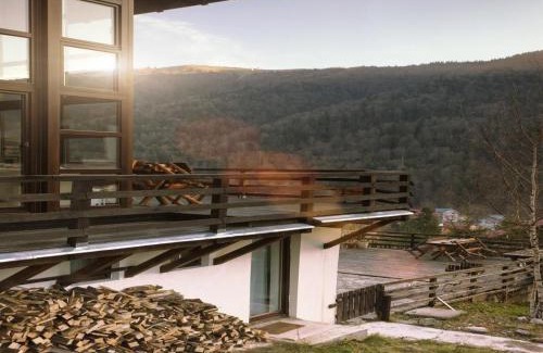 Azuga Villa | Casa Ferica