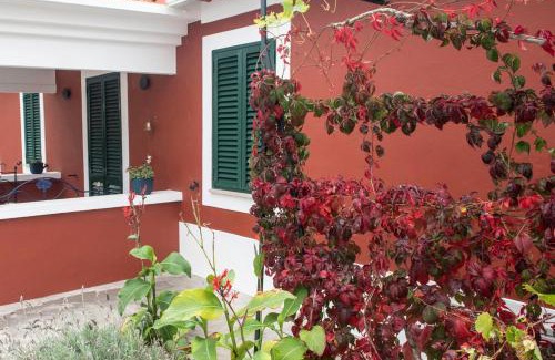 Foz do Arelho House | Casa Flamingo