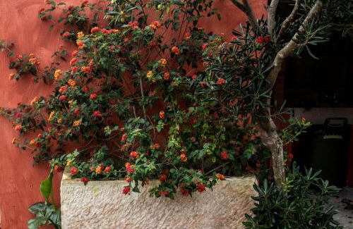 Foz do Arelho House | Casa Flamingo