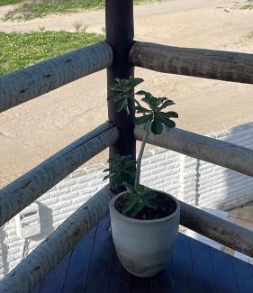 Jijoca de Jericoacoara House | Casa Free Wind Jeri