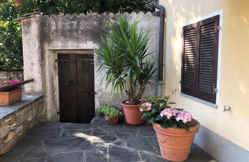 Terre di Pedemonte House | Casa Gialla by Fewotessin