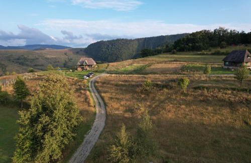 Almasu Mare House | Casa Glod