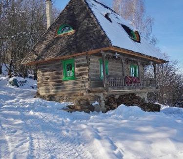 Almasu Mare House | Casa Glod