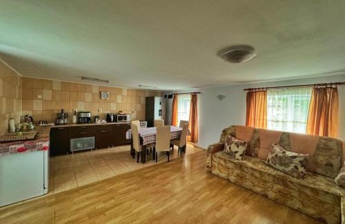 Salasu de Sus House | Casa Iancu