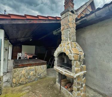 Salasu de Sus House | Casa Iancu