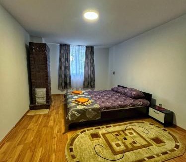 Salasu de Sus House | Casa Iancu